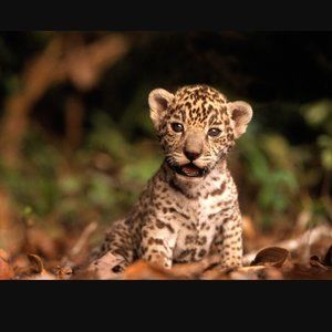 Meet your Posher, Marcy